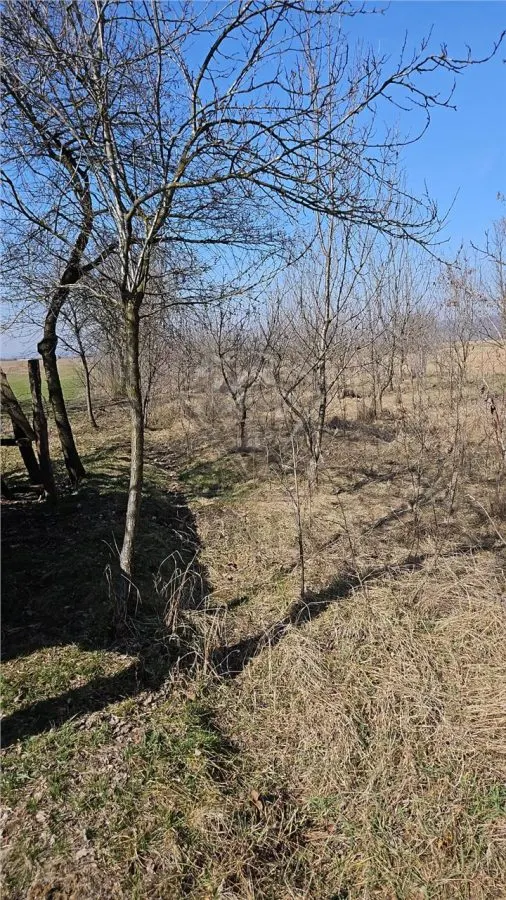 TEREN MEHEDINTA PRAHOVA - foto 2