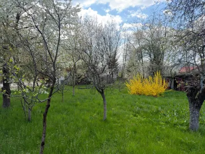 Teren intravilan construibil,Cornu Prahova -50 euro/mp - foto 7