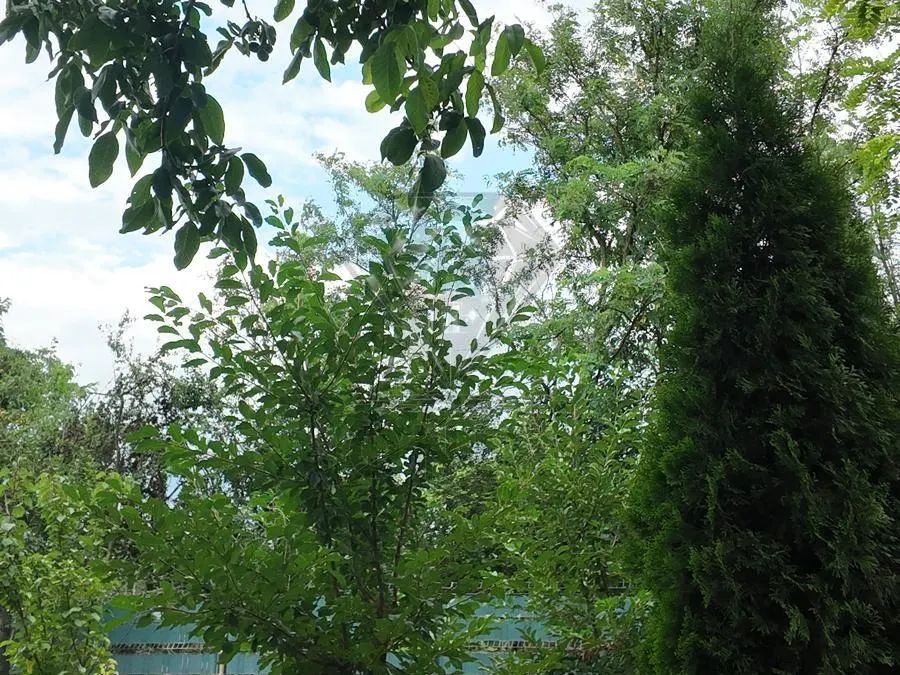 Casa de vanzare Baraitaru, Draganesti, Prahova | Onix Imobiliare - foto 8