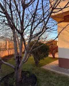 Casa 4 camere de vanzare Ploiesti Albert complet mobilata utilata finisaje premium zona Albert - Ploiestiori