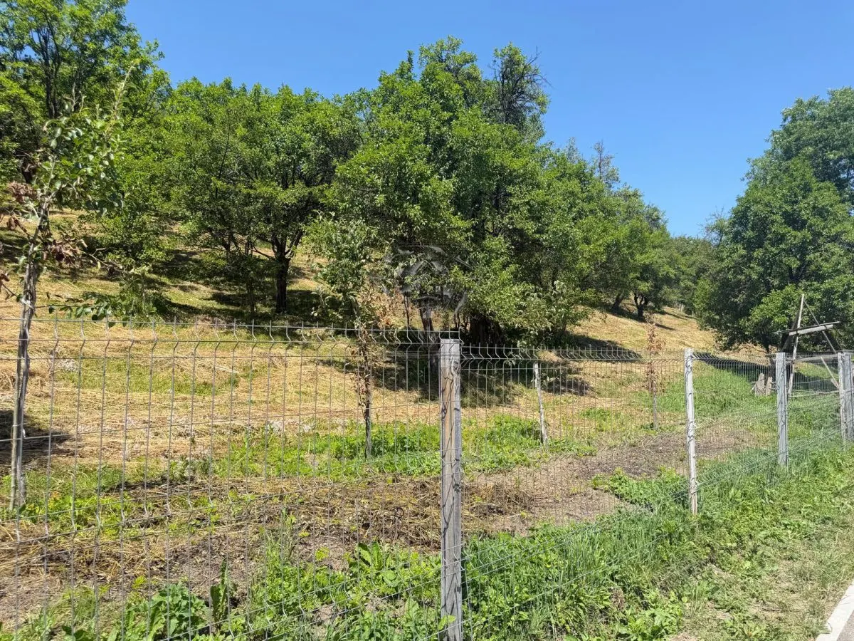 Teren Valea Doftanei, Tesila, utilitati la strada, padure in spate - foto 1