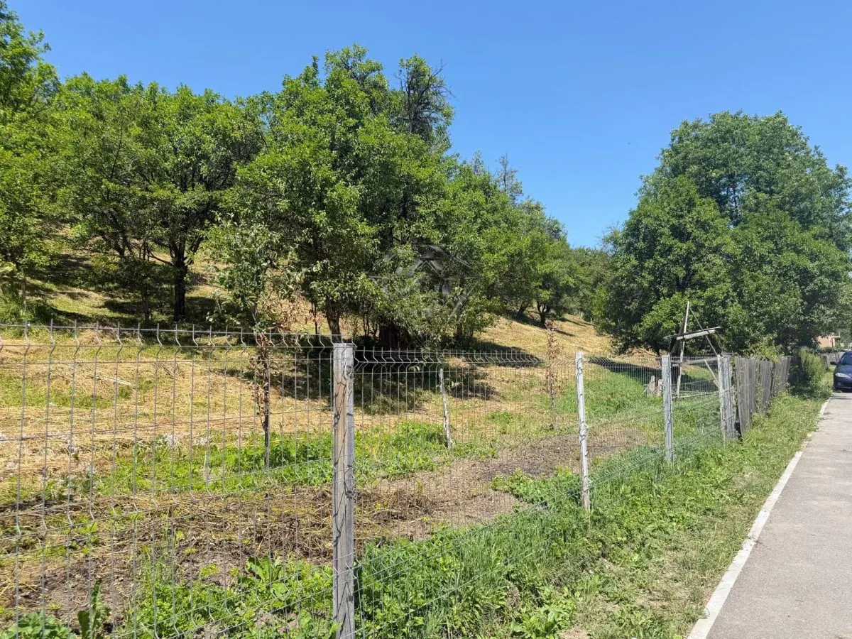Teren Valea Doftanei, Tesila, utilitati la strada, padure in spate - foto 2