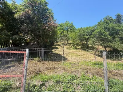 Teren Valea Doftanei, Tesila, utilitati la strada, padure in spate - foto 3