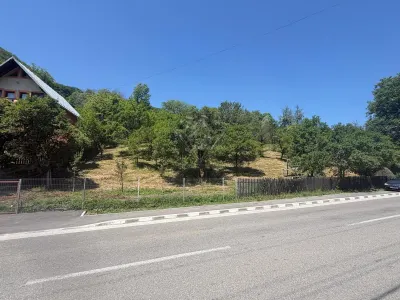 Teren Valea Doftanei, Tesila, utilitati la strada, padure in spate - foto 4
