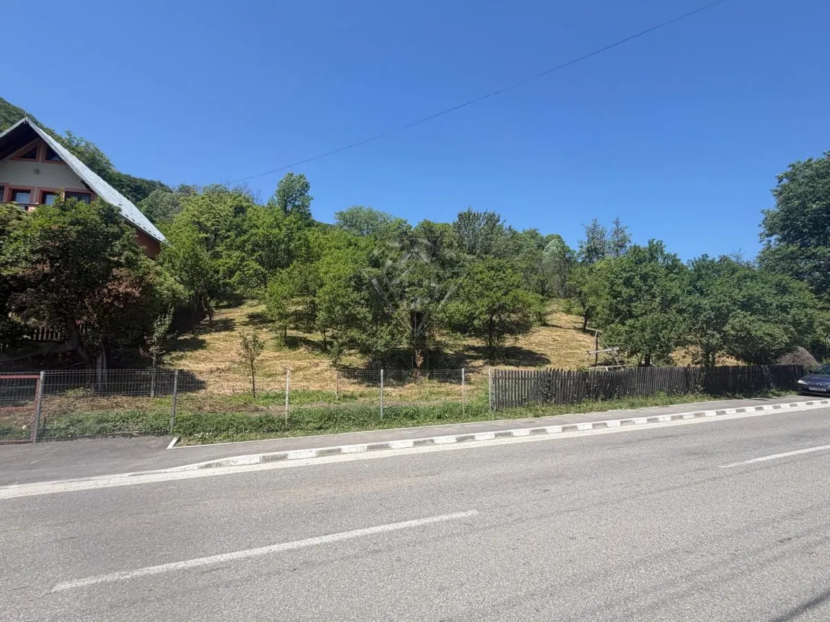 Teren Valea Doftanei, Tesila, utilitati la strada, padure in spate - foto 4