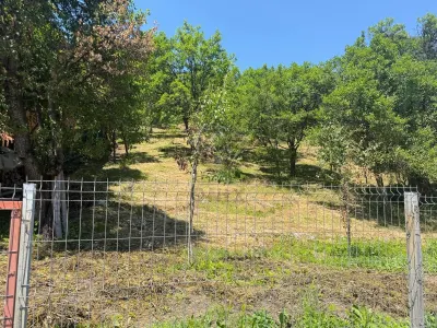 Teren Valea Doftanei, Tesila, utilitati la strada, padure in spate - foto 5