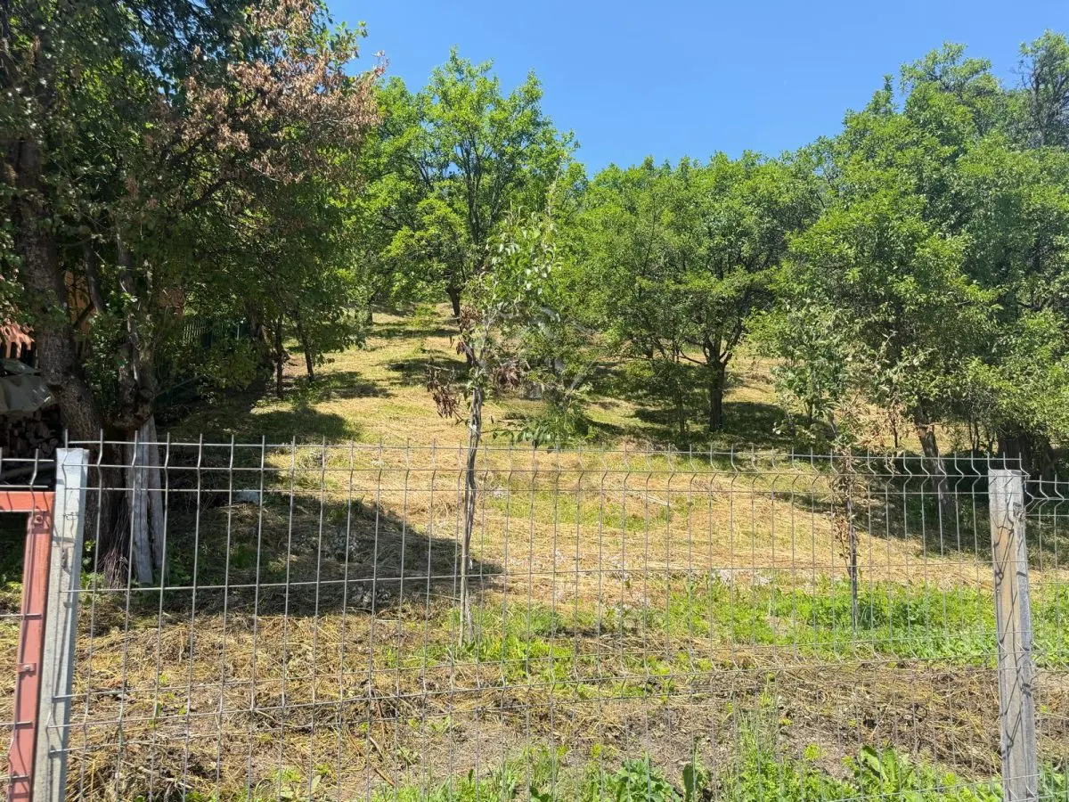 Teren Valea Doftanei, Tesila, utilitati la strada, padure in spate - foto 6
