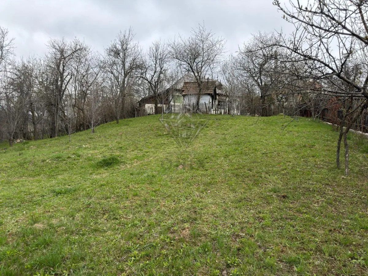 Teren intravilan 1518 mp, constructie, Sotrile, Prahova - 24 EUR/mp - foto 2