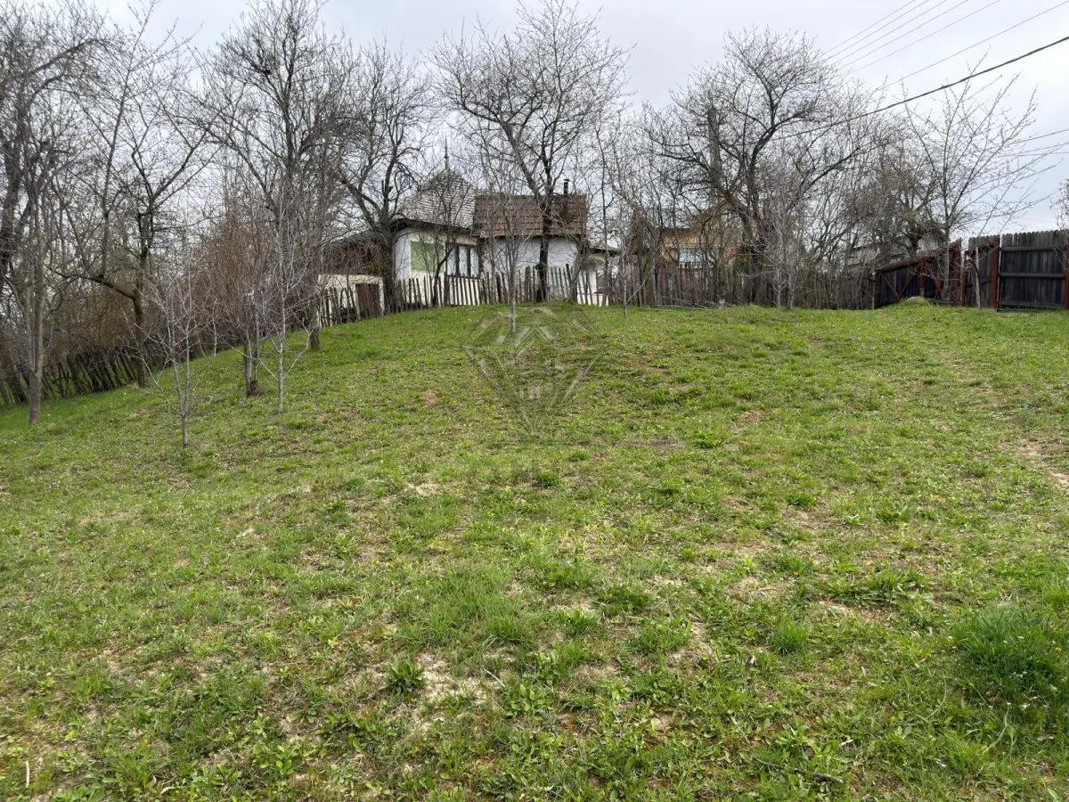 Teren intravilan 1518 mp, constructie, Sotrile, Prahova - 24 EUR/mp - foto 6