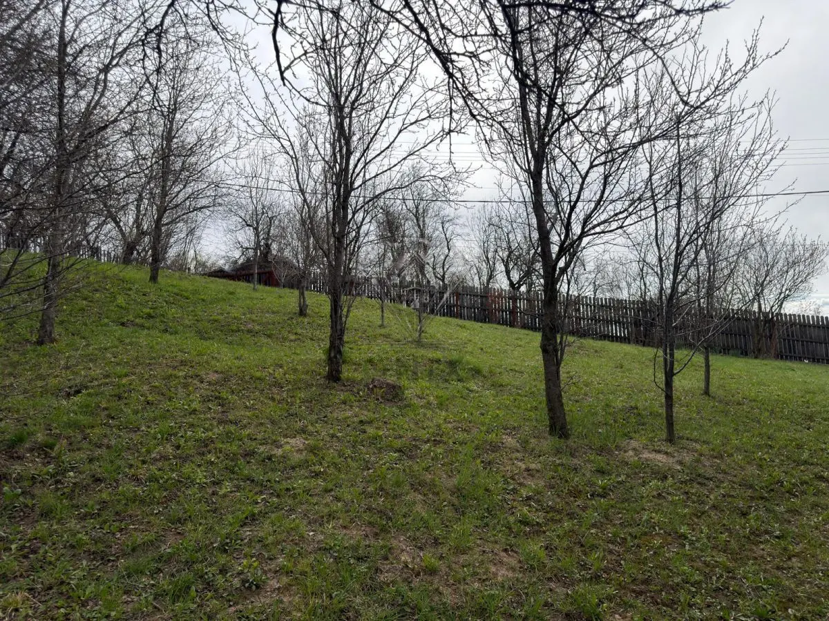Teren intravilan 1518 mp, constructie, Sotrile, Prahova - 24 EUR/mp - foto 7