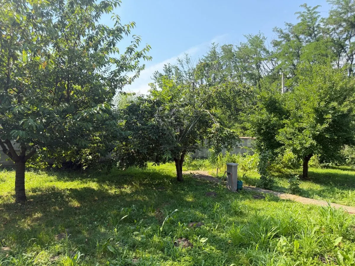 Casa din lemn masiv | 3 camere | Teren 5.000mp -Berceni Prahova - foto 11