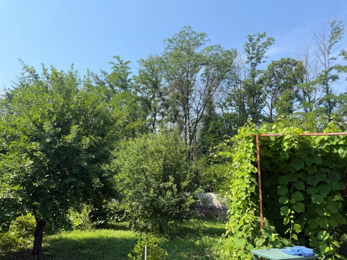 Casa din lemn masiv | 3 camere | Teren 5.000mp -Berceni Prahova - foto 13