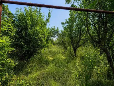 Casa din lemn masiv | 3 camere | Teren 5.000mp -Berceni Prahova - foto 17