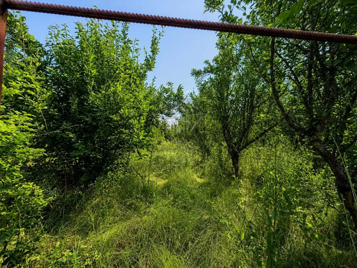 Casa din lemn masiv | 3 camere | Teren 5.000mp -Berceni Prahova - foto 17