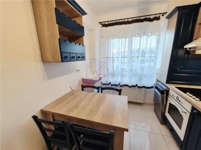Apartament spatios cu 2 camere de inchiriat in Valea Lupului - foto 12