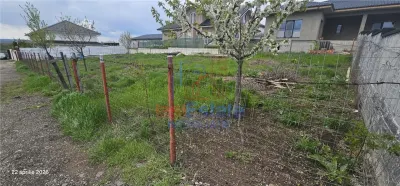 Ocazie! Valea Adanca TEREN 500mp intravilan cu utilitati suprafata plana - Valea Adanca