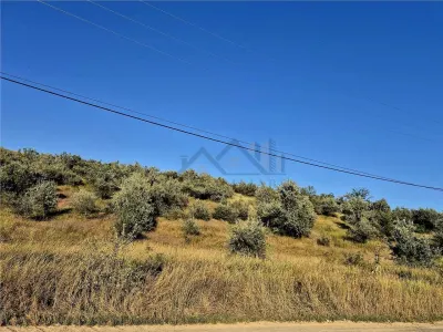 Teren de 27660 mp in Letcani - Letcani