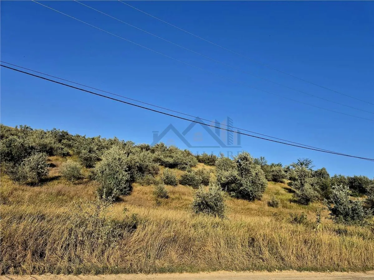 Teren de 27660 mp in Letcani - foto 1