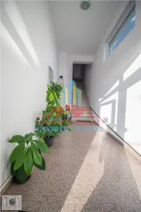 Apartament 2 camere, 58 mp, PET FRIENDLY, Str. Tineretului, Nr 66, Chiajna, Dudu - foto 25