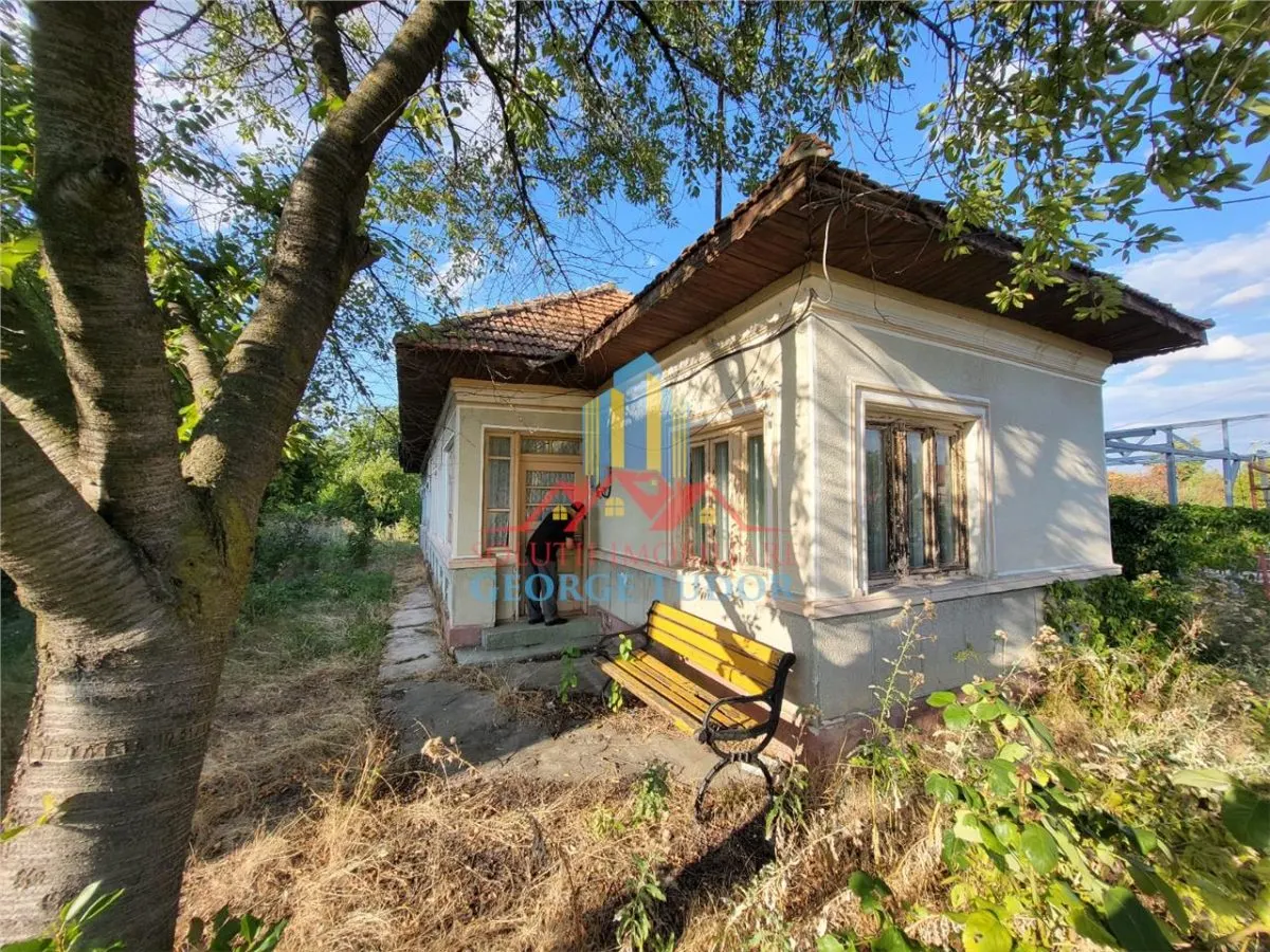 Vanzare casa Bolintin Deal-Mihai Voda - foto 6