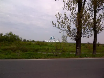 建筑用地5000平方米，奇奥尔帕尼 – 接受置换 - foto 2