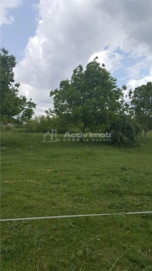 12900mp - teren intravilan - foto 3