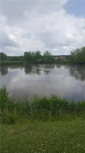12900mp - teren intravilan - foto 4