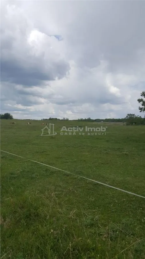 12900mp - teren intravilan - foto 5