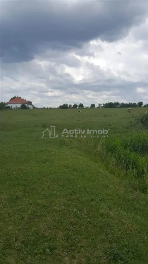 12900mp - teren intravilan - foto 7