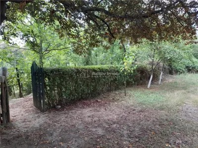 Resita,5561 mp.Teren INTRAVILAN Km.8,la Sosea 10 Euro mp.. - foto 2