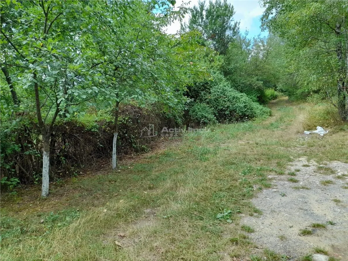 Resita,5561 mp.Teren INTRAVILAN Km.8,la Sosea 10 Euro mp.. - foto 3