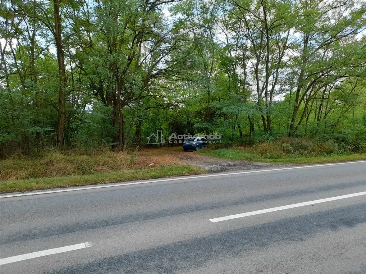 Resita,5561 mp.Teren INTRAVILAN Km.8,la Sosea 10 Euro mp.. - foto 4