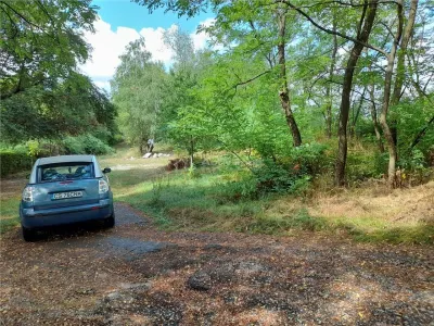 Resita,5561 mp.Teren INTRAVILAN Km.8,la Sosea 10 Euro mp.. - foto 5
