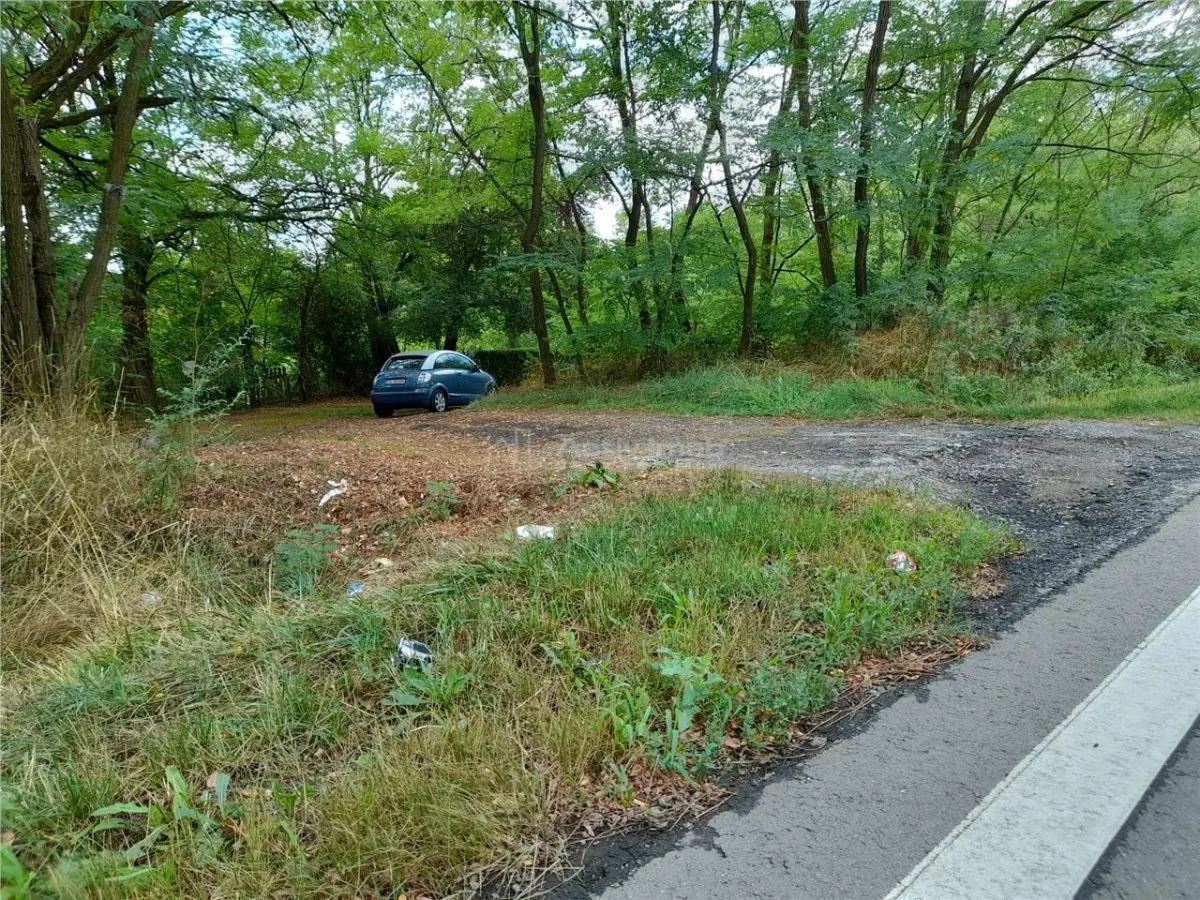 Resita,5561 mp.Teren INTRAVILAN Km.8,la Sosea 10 Euro mp.. - foto 6