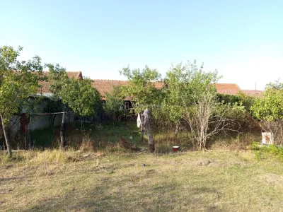 贝利什特，6室住宅，1,129平方米土地，价格可议 - foto 15