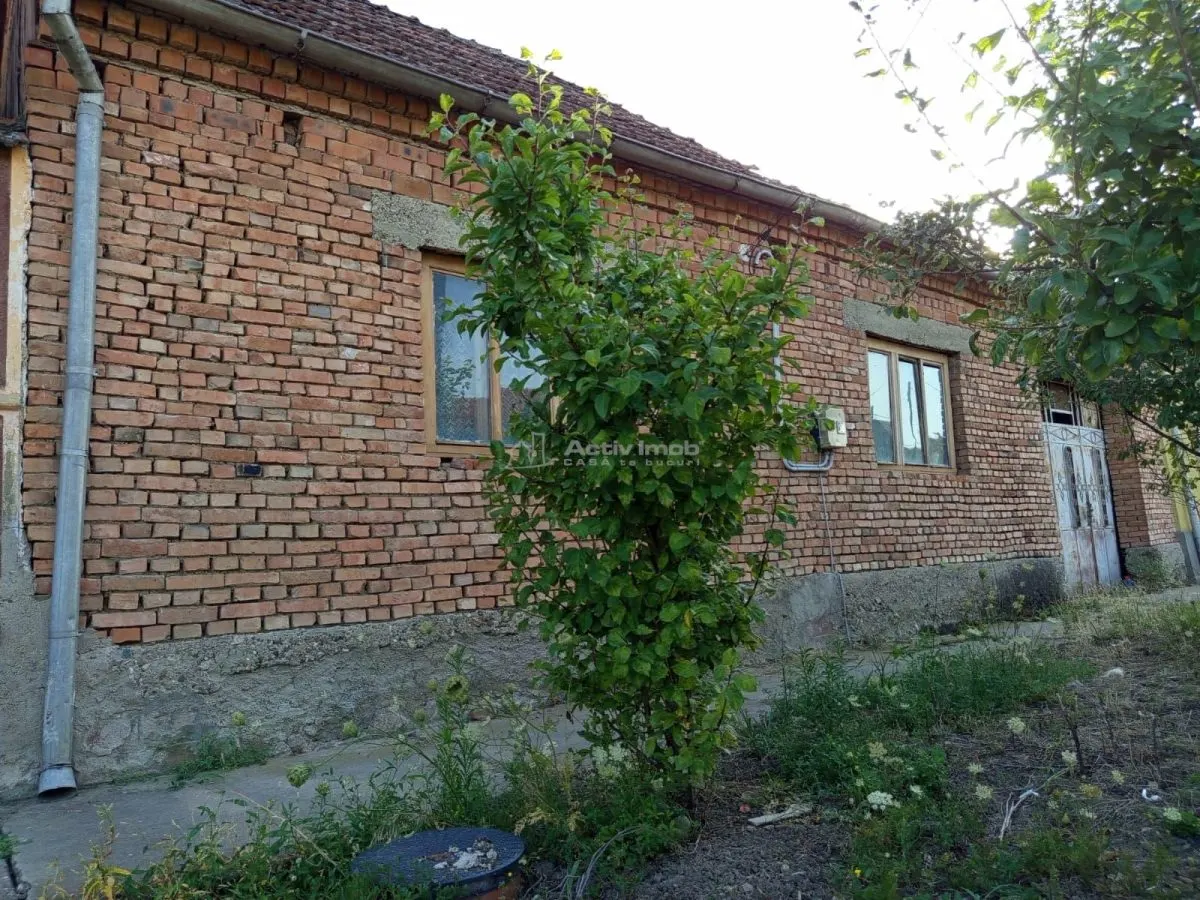 贝利什特，6室住宅，1,129平方米土地，价格可议 - foto 23