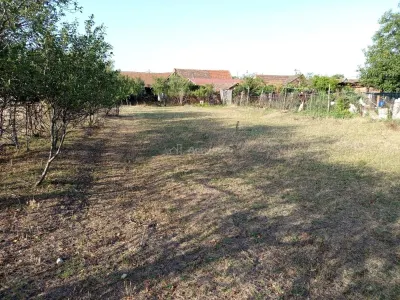 贝利什特，6室住宅，1,129平方米土地，价格可议 - foto 8