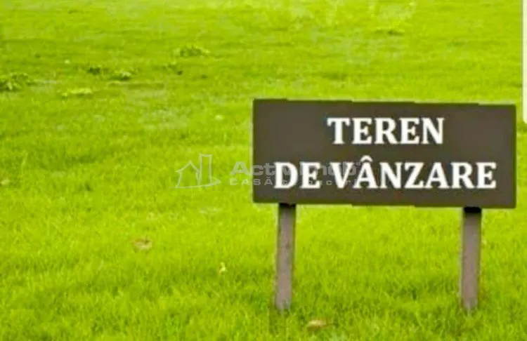Teren extravilan - Fantanele - 10000 mp - foto 1