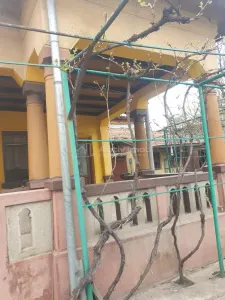 Detached House, 330 sqm Plot, Suitable for Residential or Professional Use, Puskin Area - Craiova