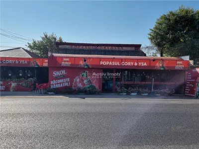Restaurant Cory si Ysa afacere la cheie Draganesti Vlasca - Draganesti-Vlasca