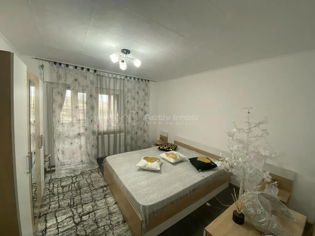 Caransebes, 2 Cam., Dec., Et.,2, Mobilat+Utilat, Balta Sarata - foto 16