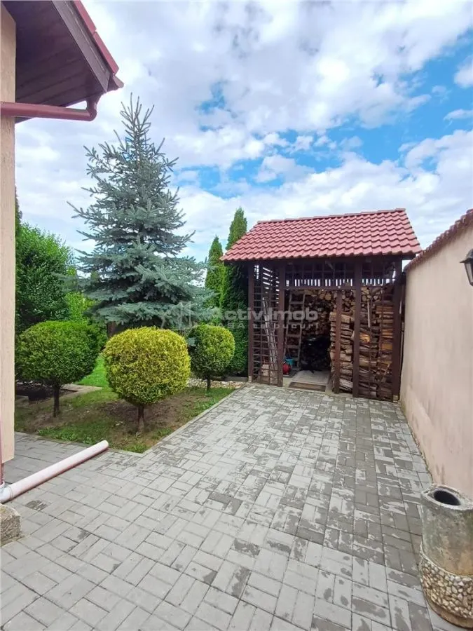 Casa de lux de vanzare in Sura Mare - foto 18