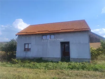 Sadova Veche, Casa la Sosea, cu Teren 3251Mp - foto 2