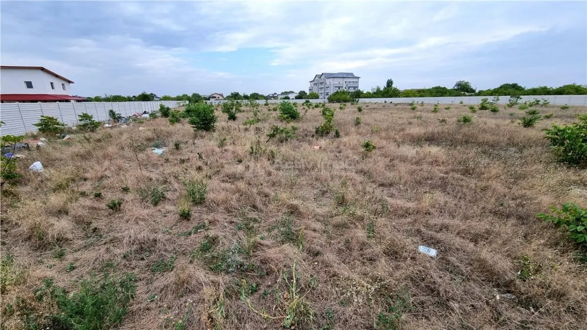 吉乌尔焦乌地皮 10,000 平方米 蒂帕尼泰 - foto 4