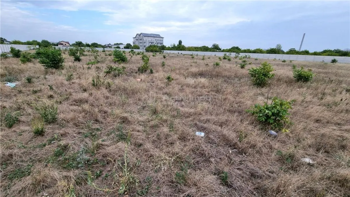 吉乌尔焦乌地皮 10,000 平方米 蒂帕尼泰 - foto 5
