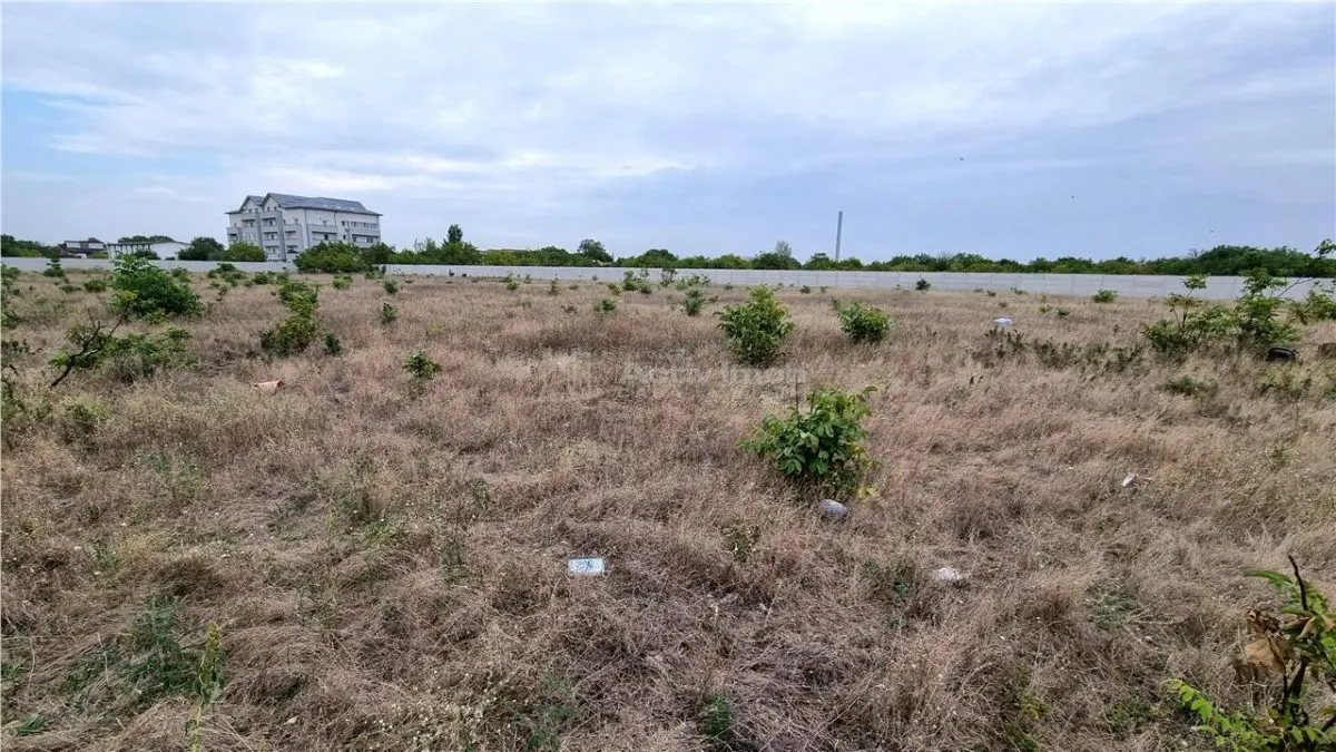 吉乌尔焦乌地皮 10,000 平方米 蒂帕尼泰 - foto 6