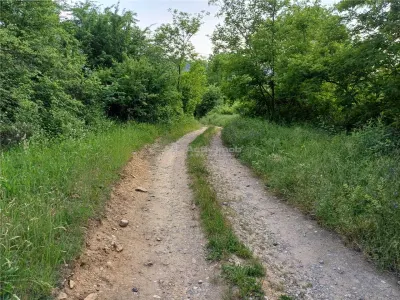 Resita, Teren Drept Intravilan, 11510 Mp., 4 Euro/Mp., Valea Terovei - foto 12