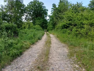 Resita, Teren Drept Intravilan, 11510 Mp., 4 Euro/Mp., Valea Terovei - foto 13