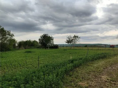Teren intravilan, 1600 mp, situat la 800 de m de Primaria Lipanesti - foto 4