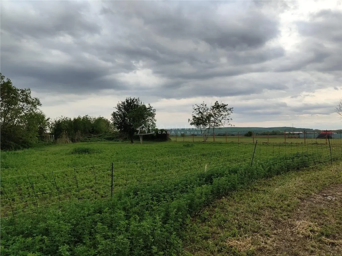 Teren intravilan, 1600 mp, situat la 800 de m de Primaria Lipanesti - foto 4